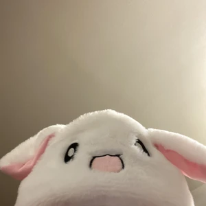 hatt - en kanin hatt från shein, öronen kan röra på sig, köparen betalar frakt.