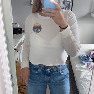 långärmad tröja med tryck fram o bak - en jättefin och gammal modell från Hollister. ÄLSKAR trycket på baksidan. säljs för den är förliten för mig