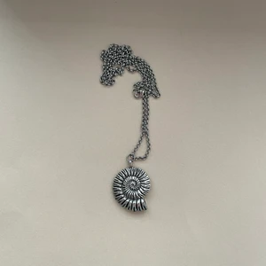 Halsband med silverfärgat fossil-hänge - Hemmagjort halsband. Silverfärgad fasetterad kulkedja av nickelfri metall. Silver färgat klolås. Kedjans längd: 56 cm.