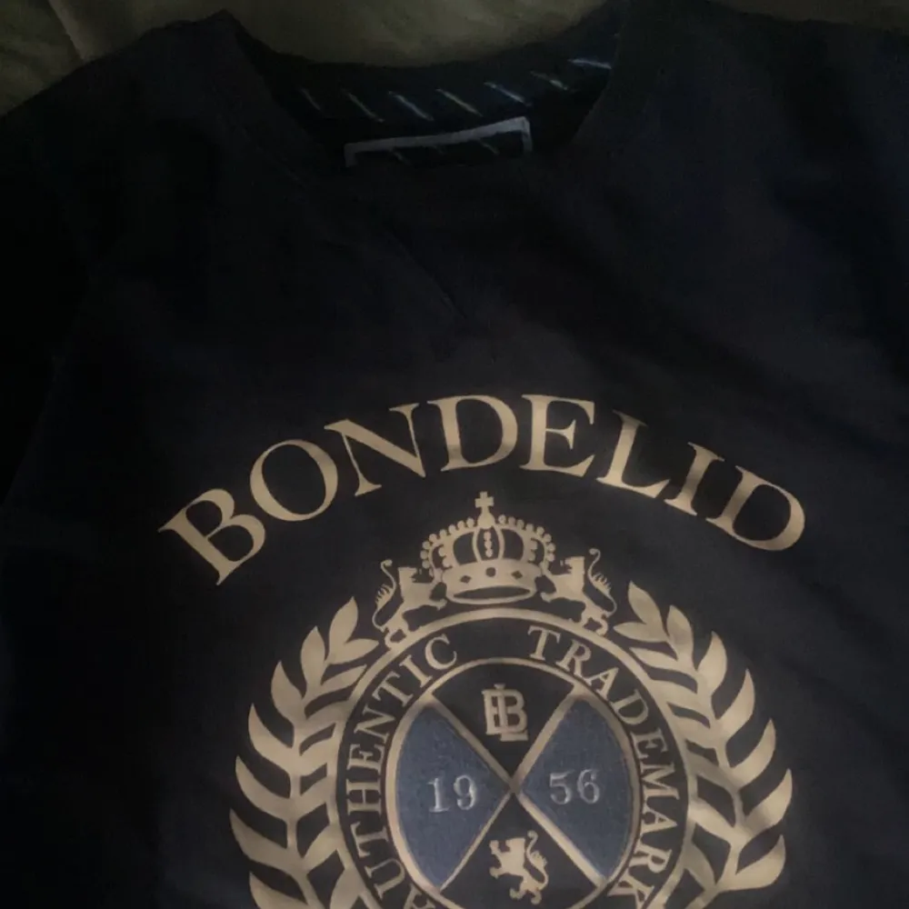 En vintage sweatshirt i navyblå. Haft länge så ej second hand. Storleken är L men sitter lite som en pösigare M. Ger lite college vibes på motivet. Tröjor & Koftor.