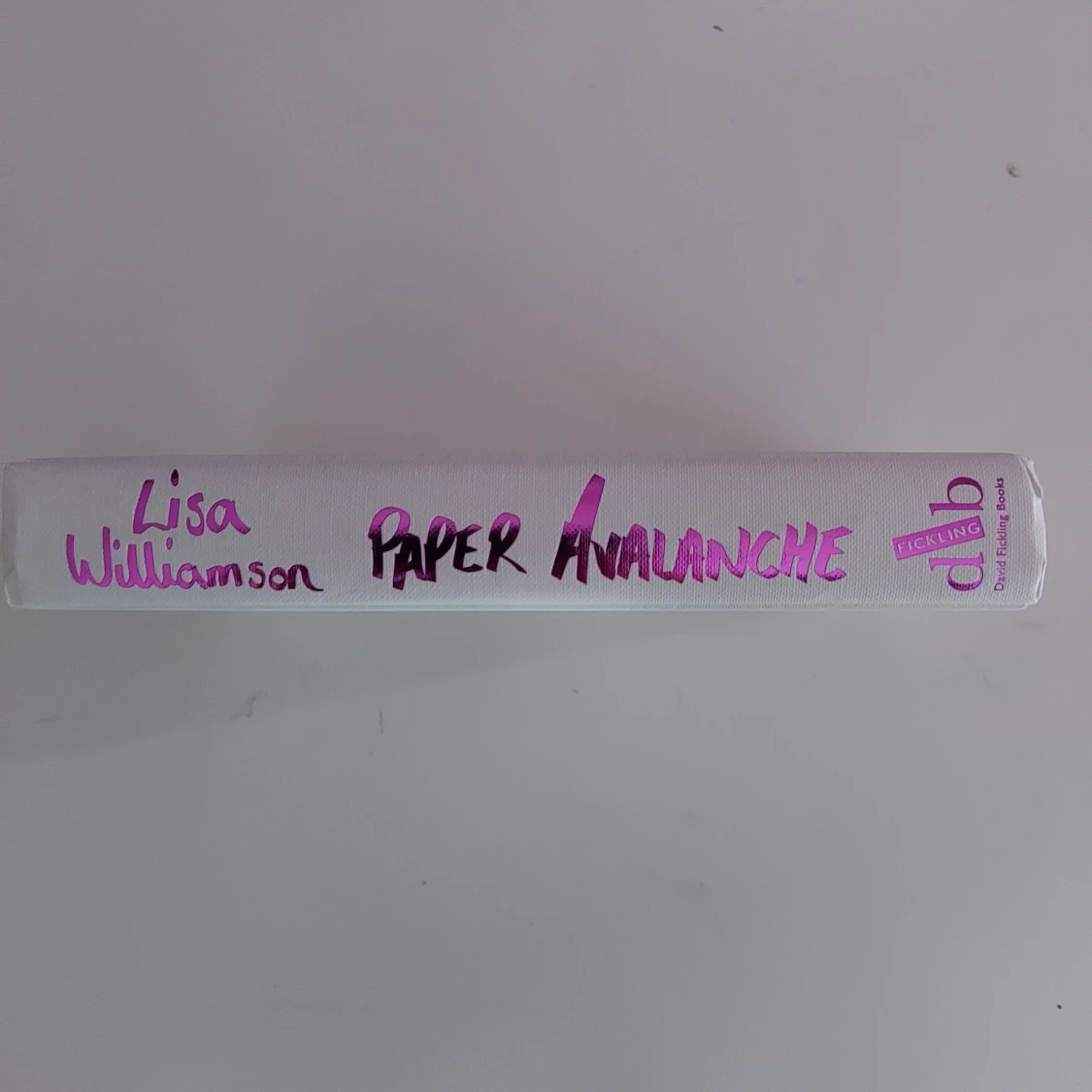 Paper Avalanche - Lisa Williamson