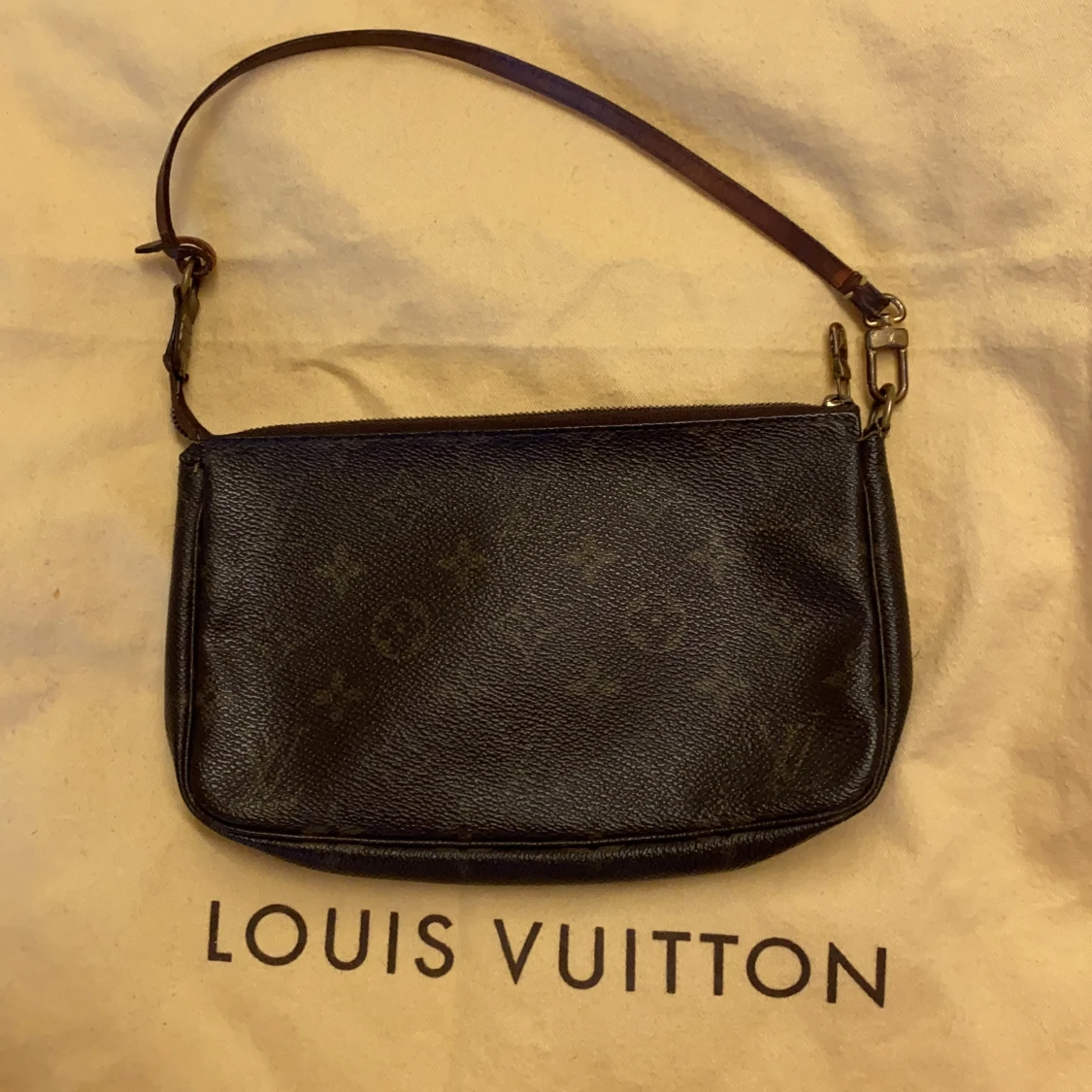 Louis Vuitton Pochette Accessoires