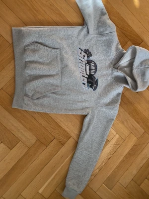 Grå hoodie Trapstar London Shooters - Snygg grå hoodie från Trapstar med tryck av London Shooters och en panter på bröstet. Klassisk känguruficka framtill och huva. Perfekt för en streetwear-look och chill dagar. Mjuk bomullsblandning som känns skön mot huden inget hål eller något .