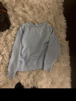 Ljusblå sweatshirt från Le Don De Vie - En stilren ljusblå sweatshirt från Le Don De Vie i storlek S. Tröjan har rund halsringning, långa ärmar och ribbade muddar vid ärmslut och nederkant. Tillverkad i mjukt material som passar perfekt för en avslappnad look.