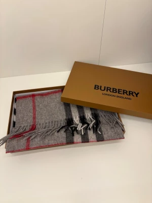 Burberry Scarf - No Size