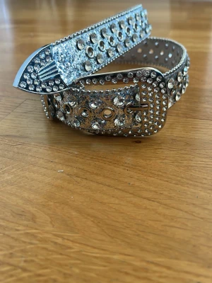 Silvrigt BB bälte - Snyggt BB bälte i silver med massor av glittrande stenar och nitar. Bältet har en bred design och ett stort spänne som också är dekorerat med stenar. Perfekt för att ge outfiten extra bling och attityd.