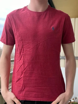 Ralph Lauren t shirt  - Helt nya Ralph Lauren T-shirts i olika färger och storlekar, perfekta till sommaren. Nypris 1000kr  Rabatt vid köp av fler! 2 för 450 (spara 50kr) 3 för 550 (spara 200kr) 4 för 600 (spara 400kr)  Modellen på bilden är 190 och väger 85 men de är tts så välj den storlek ni brukar ha. 