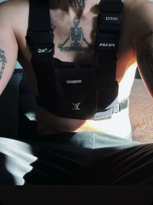 Black tactical chest rig - Tactical chest rig with multiple pouches, adjustable straps, and buckle closures. Features various brand logos.