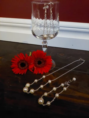 Set halsband, armband och örhängen  - Halsband, armband och örhängen ett fint set tillsammans  Halsbandet är ca. 44,5 cm  Armband Örhängen med Stämplad krokar s925  djur finns I hemmet Rökfritt 