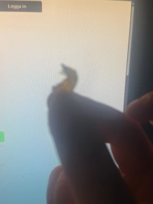 En liten sjystare chipsbit  - Säljer en chips bit som tyvärr blev uppäten och kommer ej kunnas skicka iväg