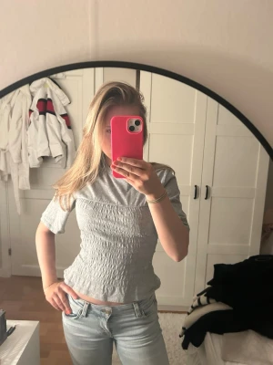 Grå ribbad topp med kort ärm - Säljer en ljusgrå ribbad topp med korta ärmar och smockad midja. Toppen har en croppad passform och är superenkel att matcha till jeans eller kjol. Perfekt för dig som gillar en stilren och bekväm look.