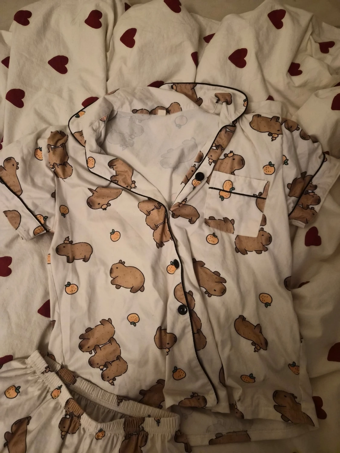 Capybara pyjamas - 1