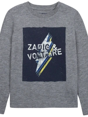 Zadig & Voltaire tröja  - Grå långärmad tröja från Zadig & Voltaire med tryck av en blixt och logga på bröstet. Tröjan har rund halsringning och är gjord i mjukt material. 
