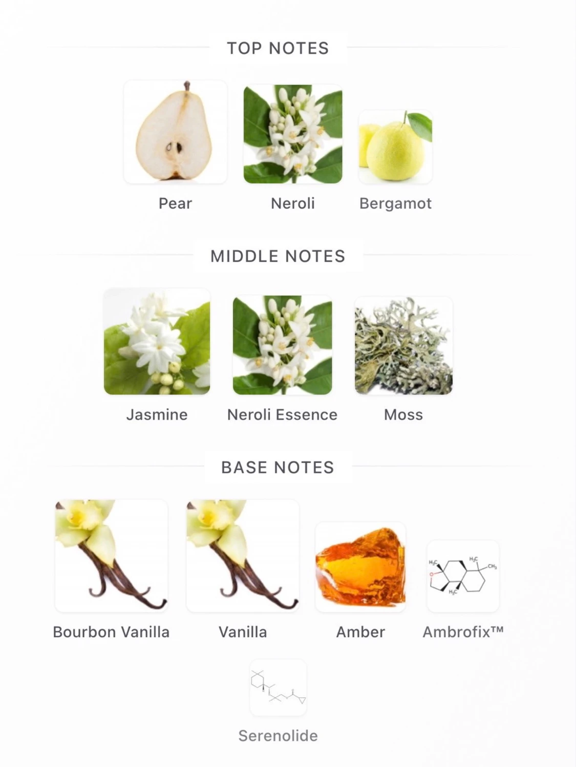 Prada Paradoxe Intense - 2