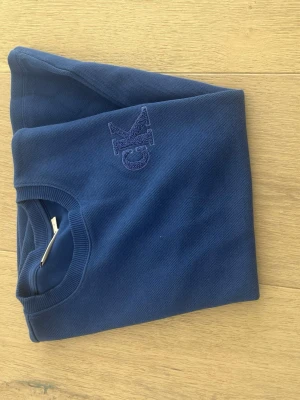 Blå tröja från Calvin Klein Jeans - Snygg blå tröja från Calvin Klein Jeans med CK-logga broderad på bröstet. Tröjan har rund halsringning och ribbade muddar. Perfekt för dig som gillar stilrena och klassiska plagg med en modern touch.