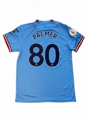 Manchester City matchtröja Palmer - Helt oanvänd Manchester City matchtröja med Cole Palmer på ryggen med nummer 80. Skriv vid funderingar!