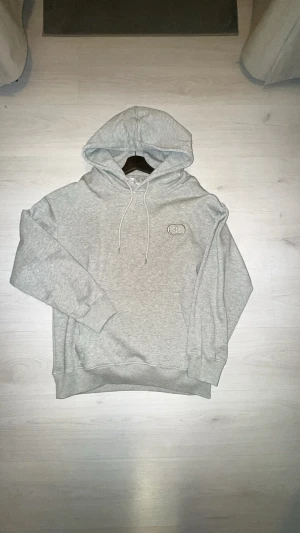 Grå CD hoodie  - Snyggt hoodie, priset kan diskuteras 