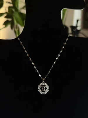 Halsband - Helt ny halsband i rostfritt stål.