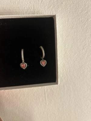 Pandora örhängen  - Används ej längre