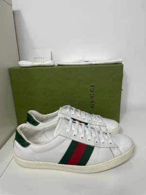 Gucci Ace Skor  - Säljer nu dessa Gucci Ace Skor, skriv för fler bilder/frågor🙌🏼