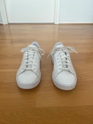 Adidas sneakers vita storlek 41 - Säljer ett par stilrena och bekväma vita sneakers från Adidas. Skorna är i mycket gott skick och har endast använts sparsamt. Den klassiska vita designen med gröna detaljer baktill gör dem enkla att matcha till både jeans, shorts och vardagskläder. Perfekta som vardagsskor för både dam och herr. Storleken är EU 40 2/3 vilket motsvarar ungefär 41. Skorna är rena och fräscha med extremt lite användningsslitage.