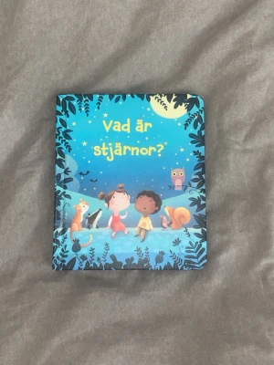 Vad är stjärnor? barnbok - En färgglad och charmig barnbok. Boken har blå omslag med illustrationer av barn, djur och stjärnor under natthimlen. Perfekt för nyfikna unga läsare.