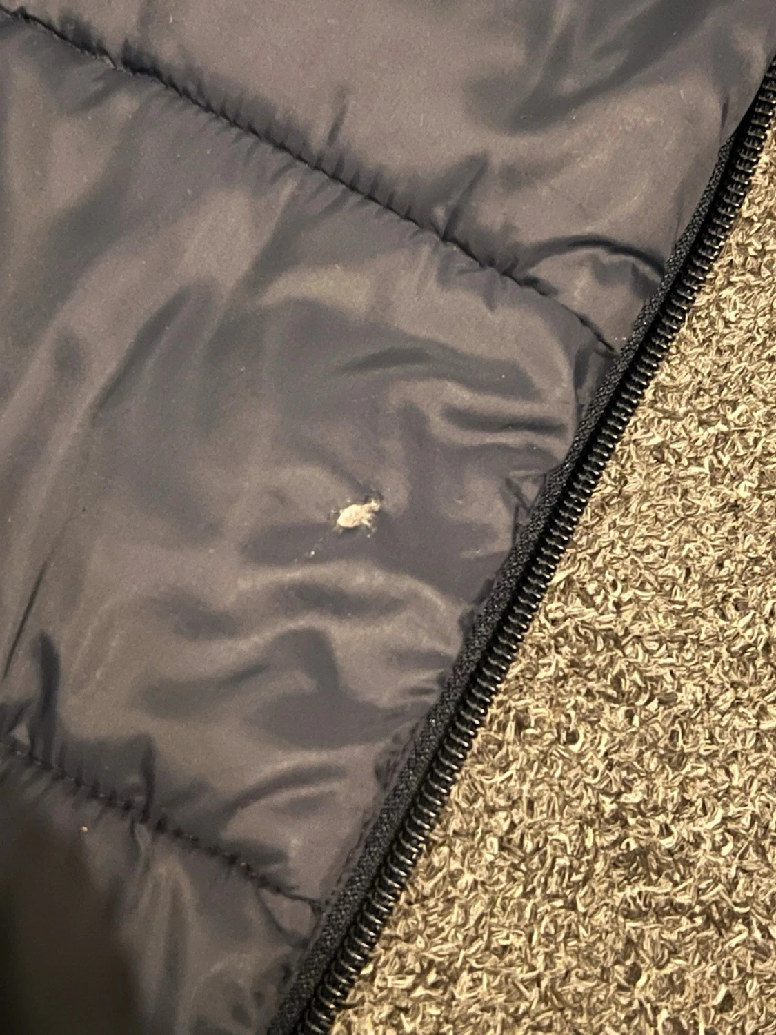 Dark Blue jacket  - 3