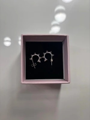 Silvriga örhängen med nitar - Säljer ett par örhängen från Edblad. Använda sparsamt. Mycket fint skick! Rekommenderar dom här starkt super fina! Levereras i en söt rosa ask.