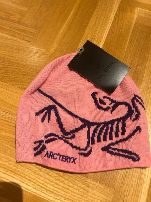 Rosa mössa från Arc'teryx - Cool rosa mössa från Arc'teryx med mörklila dinosaurie-tryck och logga framtill. Mössan är slätstickad och har en klassisk, rund form som sitter snyggt på huvudet. Perfekt för dig som gillar att sticka ut med färg och mönster.