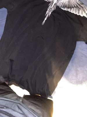 Svart t-shirt med vingtryck - Säljer en svart t-shirt med ett stort, detaljerat vingtryck i vitt och grått över axlarna. T-shirten har klassisk passform och är kortärmad, perfekt för dig som vill sticka ut med en unik design. Materialet känns mjukt och bekvämt mot huden.