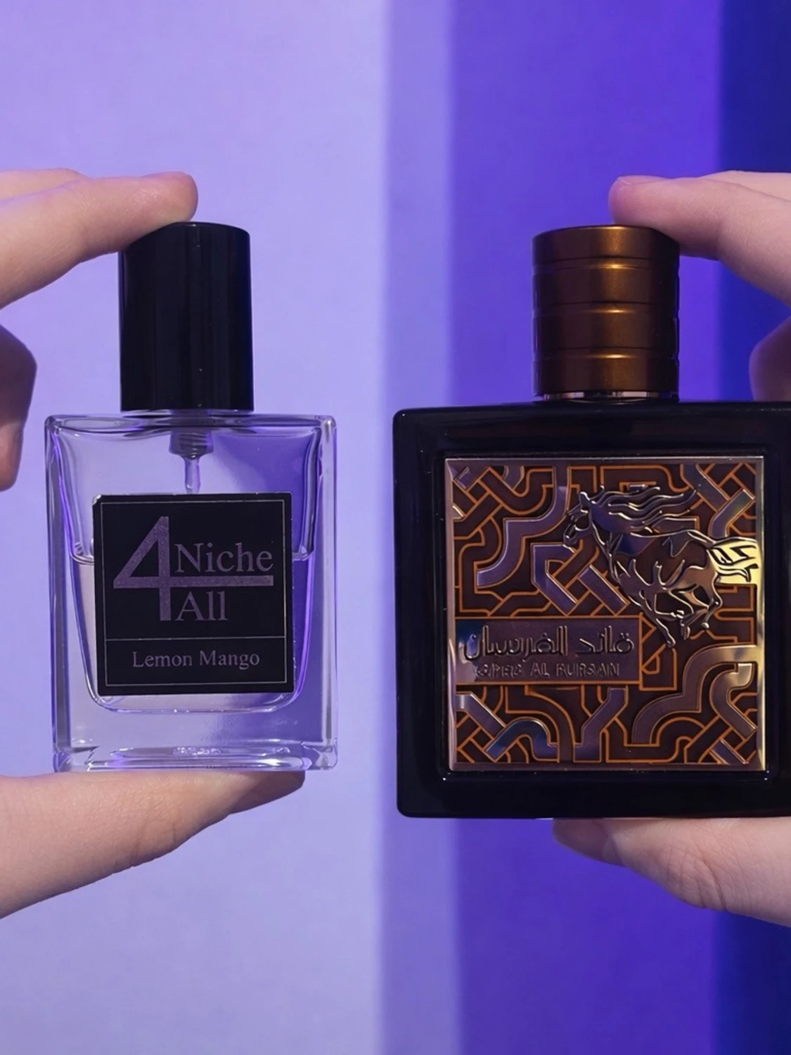 Niche 4 All Lemon Mango och qaed untamed 