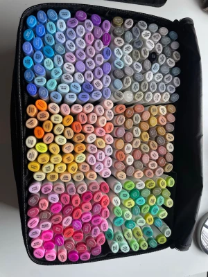 Ohuhu 320 alkoholbaserade markers - Ohuhu 320, fine och chisel Köpt för ca 1,5 år sedan för 1986kr på amazon. Ganska använda, finns endast 310 pennor kvar och vet att några pennor torkat och tappt färg. Swatchkort för alla färger (redan ifylld) och skyddspapper i plast medföljer.