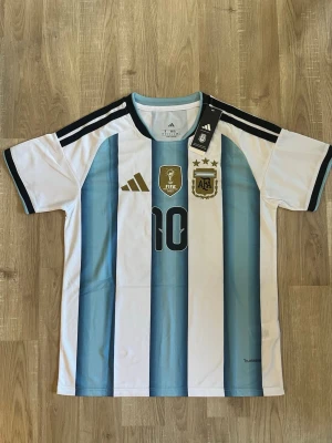 Argentina Messi VM-2026 Fotbollströja - Snygg Argentina matchtröja med ljusblå och vita ränder, svarta detaljer och nummer 10 Messi på ryggen. Tröjan har FIFA- och AFA-emblem på bröstet samt klassiska ränder på axlarna. Perfekt för fotbollsfans!