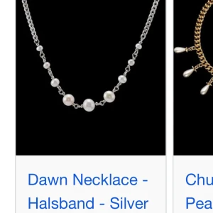  halsband med pärlor  - Ett snyggt halsband med silverkedja och vita pärlor i olika storlekar. Pärlorna sitter i mitten av kedjan och ger ett stilrent och trendigt intryck. Perfekt att matcha med andra smycken för en personlig look. Halsbandet är Maria Nilsdotter liknande och är jätte jätte snyggt, den har pyttelite defekt vid pärlorna som syns på bilden men är inget man tänker på.❤️❤️🫶🏽köpt för 299kr på Vinted🥰Pris kan absolut diskuteras 