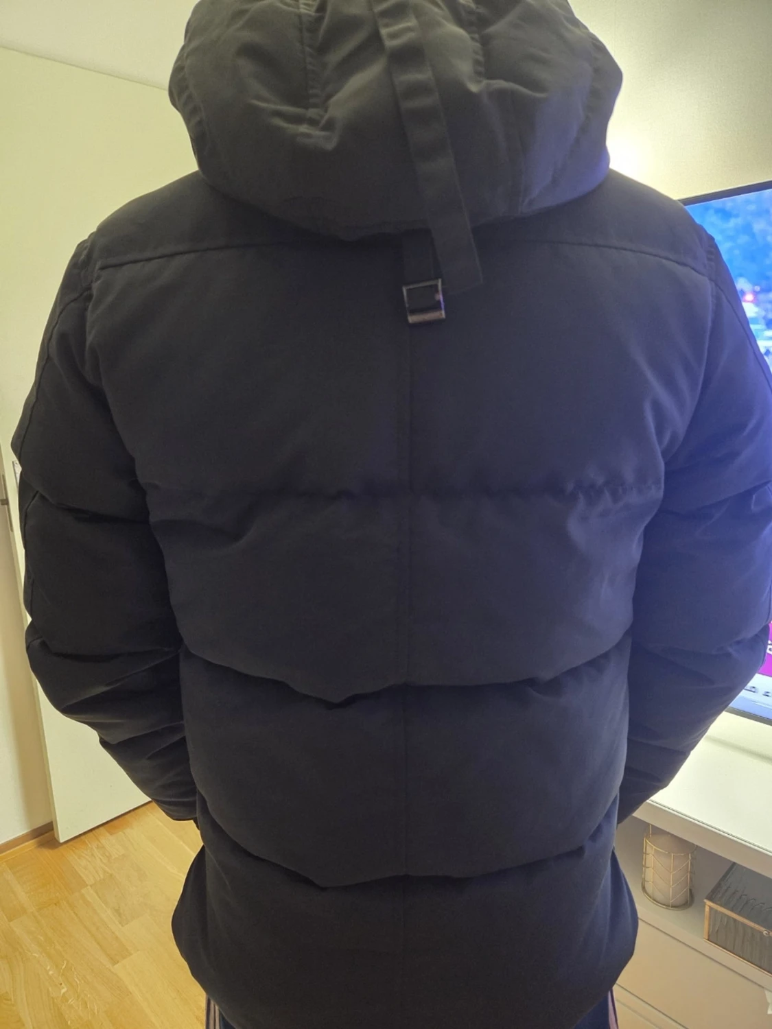 Canada Goose  - 1