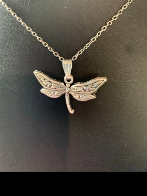 Halsband med trollslända i silverfärg - Snyggt halsband med en detaljrik trollslända som hänge. Kedjan är tunn och smidig, och hänget har fina utskurna mönster i silverfärgad metall. Perfekt för dig som gillar naturinspirerade smycken och vill ha något unikt runt halsen.