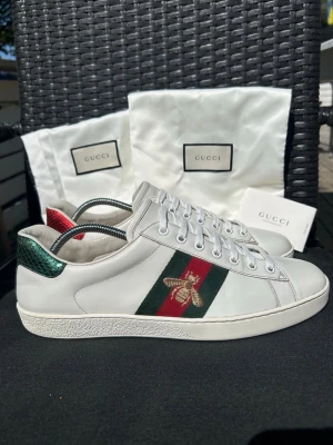 Gucci Ace Bee Skor - Gucci Ace Bee Snakers | Skick: 9,5/10 | Nypris 9000  kr | Dustbag och kortet ingår | Skriv vid minsta fundering | Skickas 24 h inom köp | Innersula=29,6 cm |