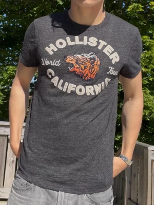 Atchive Hollister T-shirt M - Archive T-shirt från Hollister perfekt till sommaren! Modellen är 188 väger 78 Hör av er vid minsta fundering!