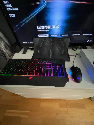 Gaming musmatta med klo-motiv - Säljer en svart gaming musmatta med ett coolt klo-motiv i grått. Mattan har en rektangulär form och sydda kanter för extra hållbarhet. Perfekt för gaming-setupen och ger bra precision till musen.Musen och tangentbordet är kopplat med sladdar och dom kopplar man in i exempel Xbox / Ps4-5 även en mus matta som är perfekt storlek för musen.