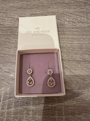 Lily and Rose droppformade örhängen - Säljer ett par eleganta droppformade örhängen från Lily and Rose. Örhängena är dekorerade med gnistrande stenar och små pärlliknande detaljer i vitt och silverfärg. Perfekt för dig som vill ha något extra till din look! Helt oanvända!