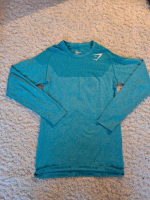 Rare Gymshark Phantom Semlees Long Sleeve  - Säljer en sällsynt Gymshark long sleeve Phantom Semlees. Tröjan skicket är mycket bra, däremot är loggan lite sprucken. Storlek M