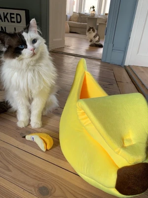 Gul bananformad kattbädd i tyg - Säljer en superrolig kattbädd formad som en banan i mjukt gult tyg med brunt avslut. Perfekt för dig som vill ge din katt en unik och mysig plats att chilla på. Bädden är vadderad och har öppning på sidan. En liten bananleksak i tyg ingår också.