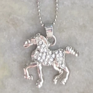 Silverfärgat halsband med hästberlock - Snyggt silverfärgat halsband med en glittrig hästberlock. Kedjan är tunn och har en justerbar längd med karbinhake. Perfekt för hästälskare eller som en unik accessoar. Passar perfekt för barn och ungdomar. Det passar vuxna också, för vuxna blir det ett kort halsband.