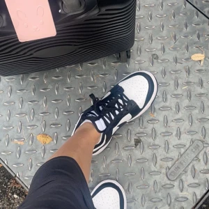 Nike Dunk panda - Snygga Nike Dunk sneakers i klassisk svart och vit färgkombination. Något använd, några bruksspår syns men fortfarande ren.