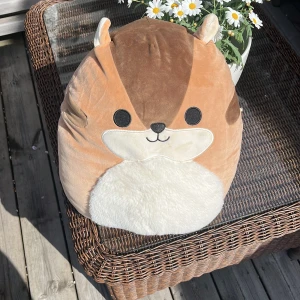 Stor ekorrformad mjukisdyna - Supermjuk och gosig kudde i form av en ekorre med stora svarta ögon, små öron och en fluffig svans. Färgerna är ljusbrun, vit och beige. Perfekt som prydnad eller att krama om i soffan. Materialet är plysch och ytan är len och slät.