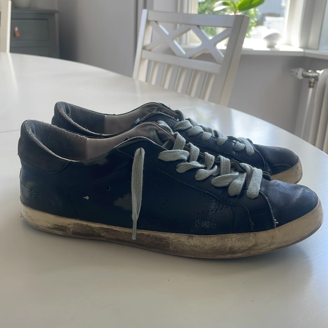 Svarta golden goose - 1