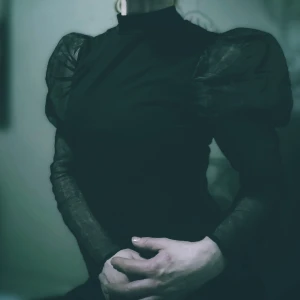Svart tröja med puffärmar - Elegant svart top med långa puffärmar i transparent material. Den har en hög hals och en figurnära passform som ger en stilren look. Perfekt för en kväll ute eller en speciell tillställning.