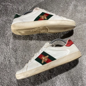 Gucci Ace skor - Hej! Säljer nu mina skor från märket Gucci, storlek 43 bra skick, givetvis äkta. Tveka inte på att höra av dig om du har frågor eller funderingar kring skorna! 