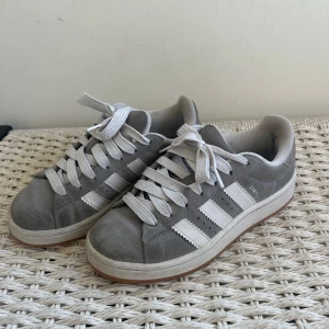Adidas Campus 00  - Sååå fina har adidas campus med vita detaljer! ❤️Bra skick! Storlek 36 2/3. Båda original skosnörena tillkommer (det vita & det mörkgråa) 