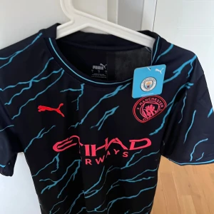 Man City bortatröja - Aldrig använd prislapp på. Storlek L men kan passa M. Bra material och skick 10/10